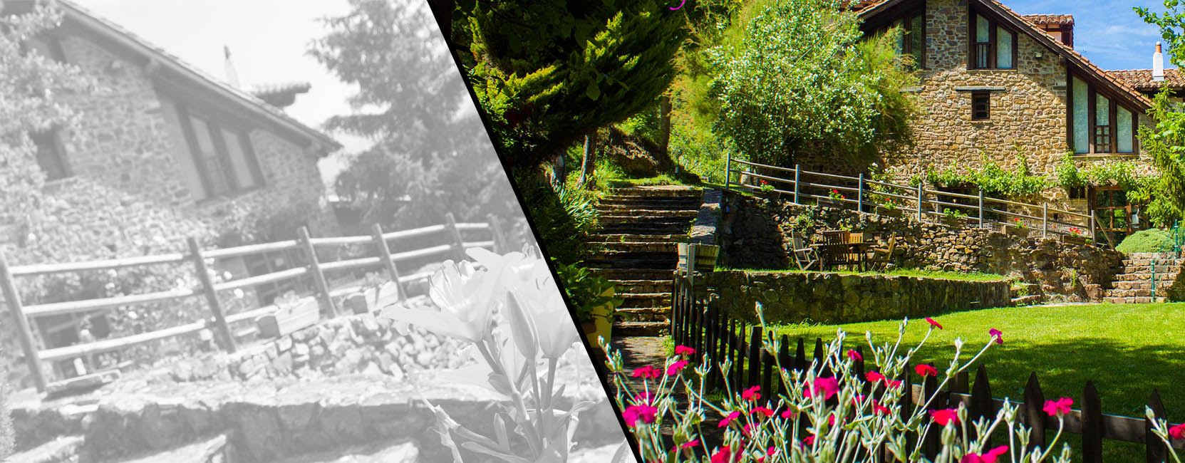 Ven a vivir la naturaleza
